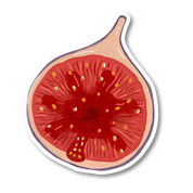 Fig Sticker