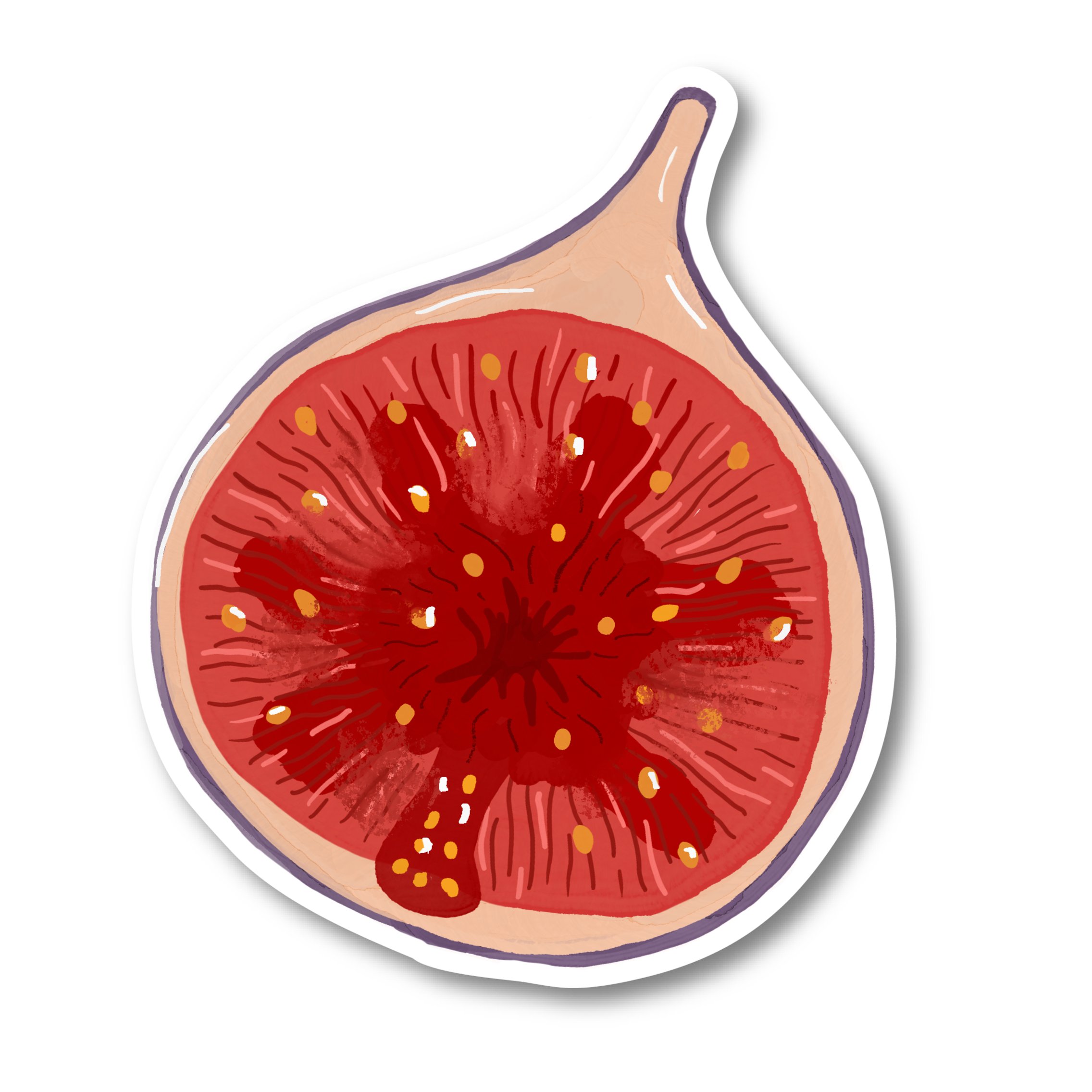 Fig Sticker